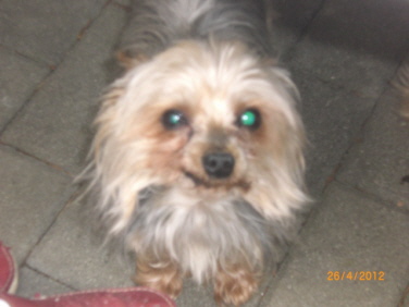 Charly